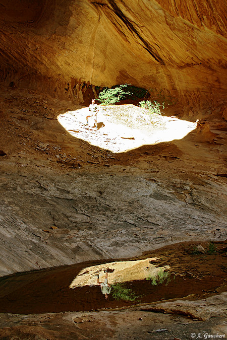 Skylight Arch